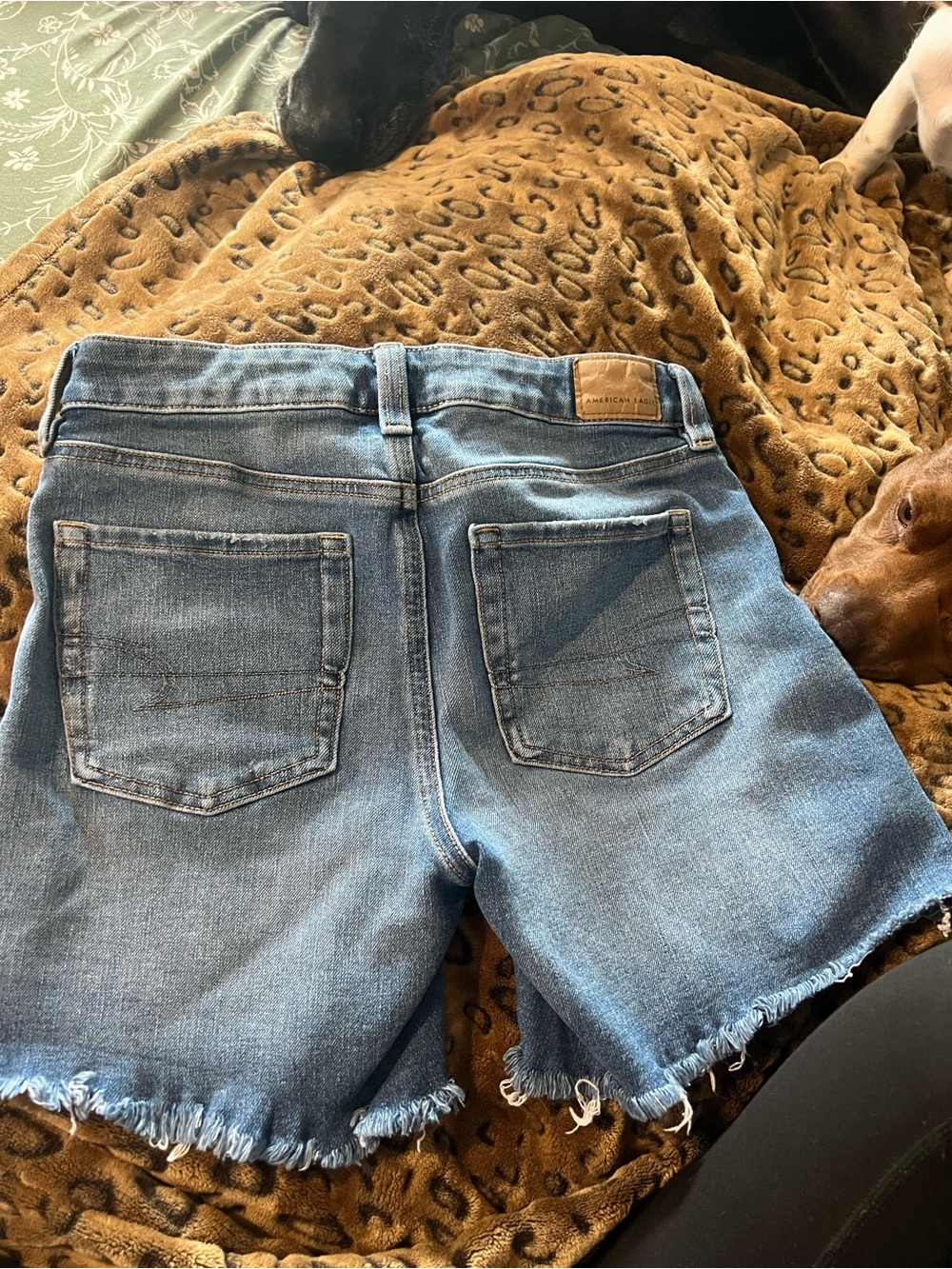 American Eagle Outfitters Distressed Medium Blue Denim Jean Shorts - Picture 2 of 2